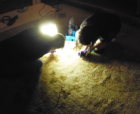 Two conservation volunteers removing insect casings from the Tapestry Room carpet at Osterley Park House.